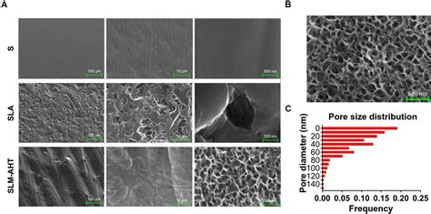 Frontiers Hierarchical Micro Nano Topography Promotes Cell Adhesion