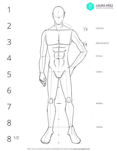 C Mo Dibujar Un Figur N Masculino Proporciones Laura P Ez Figurin