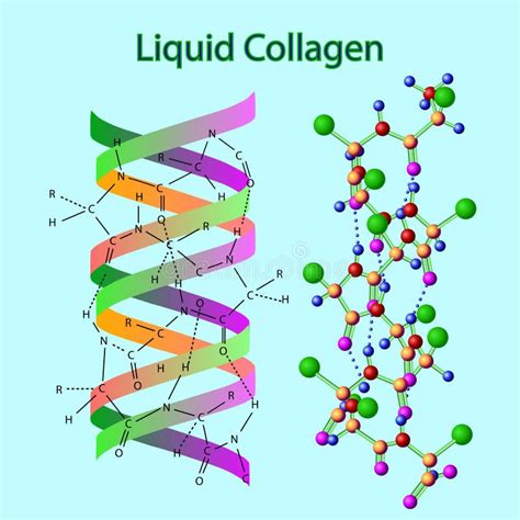 Col Geno Estructura Molecular Ilustraci N Del Vector Ilustraci N De