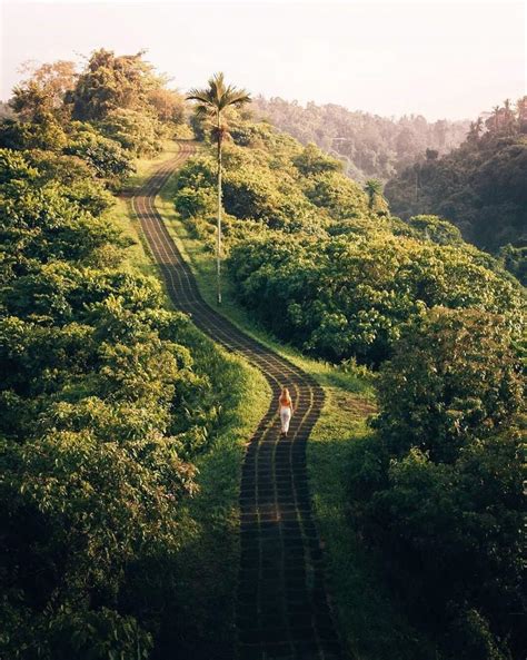 Bukit Campuhan Ubud Bali Menikmati Keindahan Alam Bali