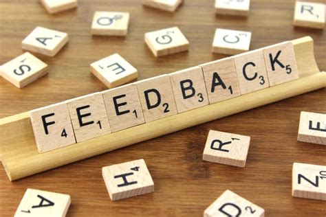 seeking feedback   important broader minds