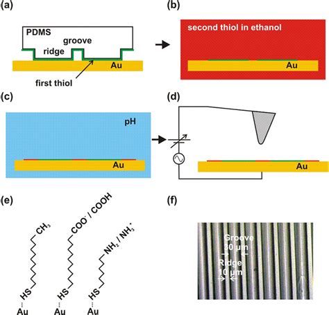 Micropattern Fabrication Steps And Kfm Measurements Pattern Creation