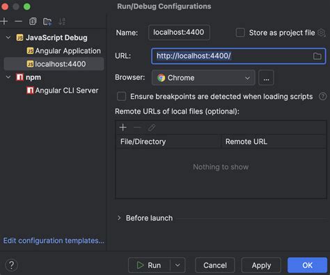 Angular JetBrains Rider Documentation