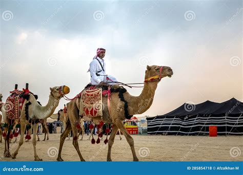 Desert Safari Camel Ride Festival in Abqaiq Dammam Saudi Arabia.this ...