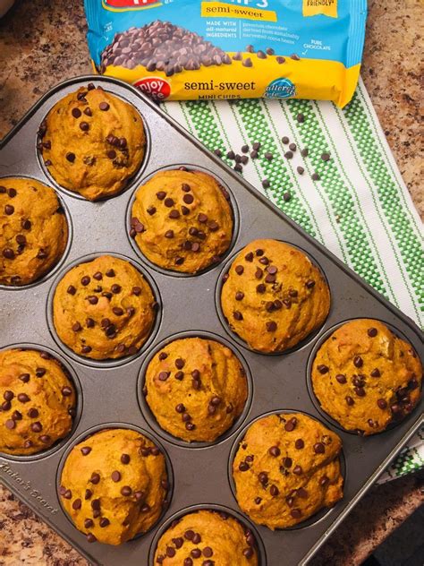 Pumpkin Chocolate Chip Protein Breakfast Muffins Milana Says Protein