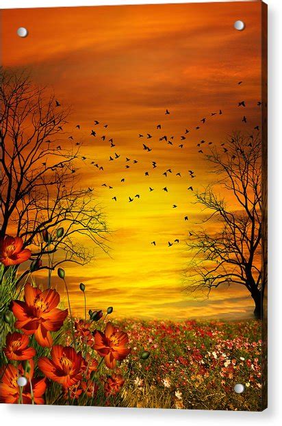 Orange Meadow Montage Digital Art By Julie L Hoddinott