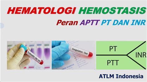 Peran Aptt Pt Dan Inr Dalam Hemostasis Pemantauan Terapi Obat