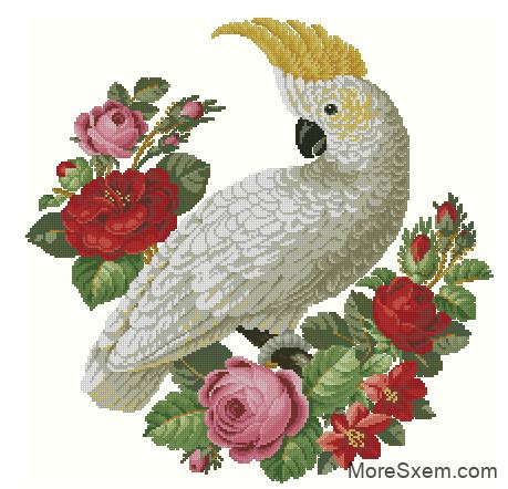 Какаду | МореСхем