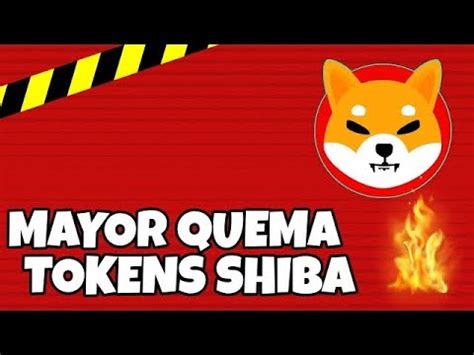 Así Como Puede SHIBA INU Quemarse Mas Shiba Inu Criptomoneda Noticias