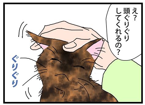 ターニングポイント② 保護猫かやさん～凛々しいサビ猫様と私～