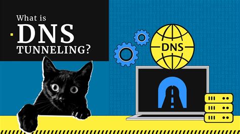 What Is Dns Tunneling How Does Dns Tunneling Work Gridinsoft