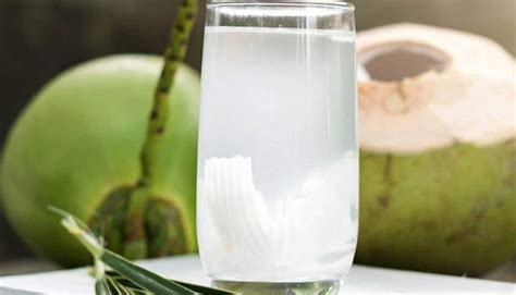 Minuman Air Kelapa Muda Aman Untuk Penderita Penyakit Apa Saja Yuk