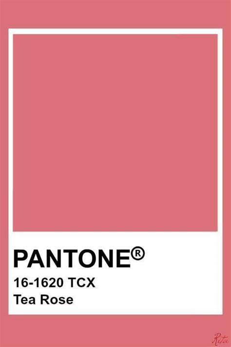 Pin By Daniela Gulda On Pantone Colors 2021 2022 Pantone Colour