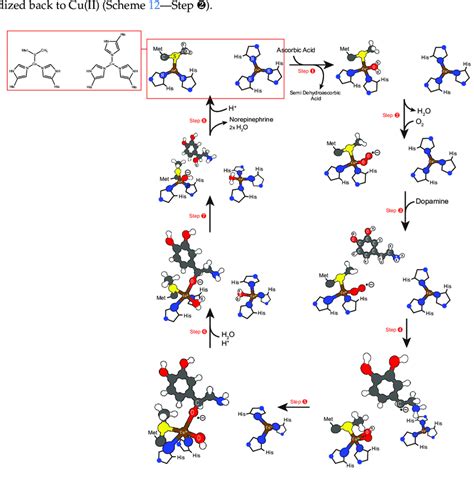 Scheme 12 General Description Of The Catalytic Mechanism Of Dopamine