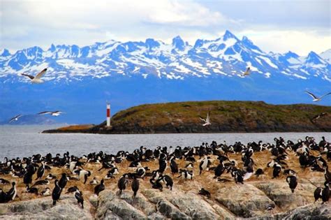 Yate Por El Canal Beagle Trekking Por Isla Bridges Desde Ushuaia