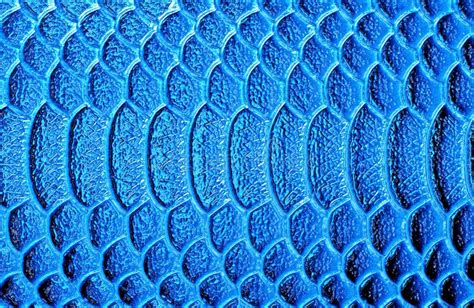 Blue Snake Skin, As a Background Stock Photo - Image of material, contrast: 166189198