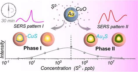 Engineered Au Cuo Nanoparticles For Wide Range Quantitation Of Sulfur