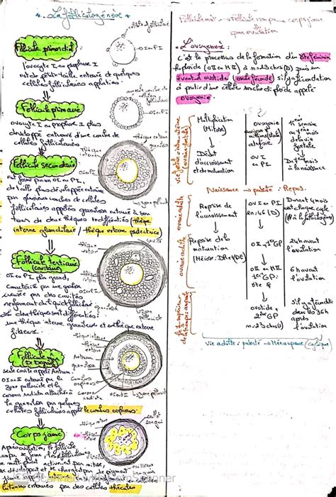 Bac Sc Exp Rimentales Sciences Svt Resume Science Toute L Annee Bac Science