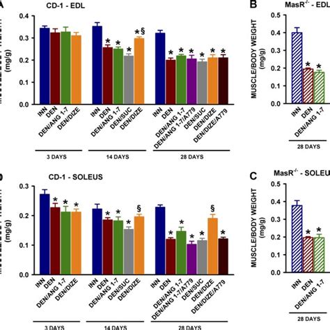 PDF Angiotensin 17 Prevents The Excessive Force Loss Resulting From