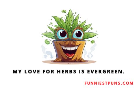 Funny Herb Puns And Jokes Thyme For Laughs Funniest Puns