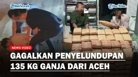 AKSI HEROIK Polisi Gagalkan Penyelundupan 135 Kg Ganja Dari Aceh Ke