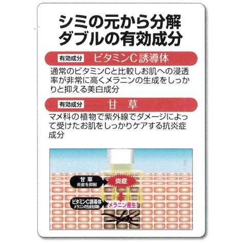 マイノロジ 薬用美白スティック シミーポロン 3g 医薬部外品 日本製 4573187270826ポイント消化のお店 通販