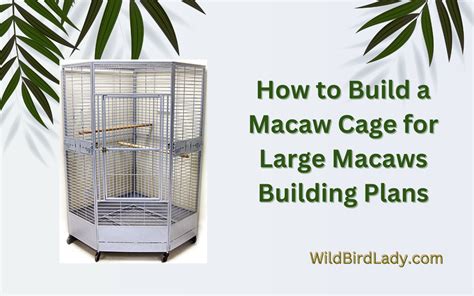 How to Build a Macaw Cage for Large Macaws – Building Plans