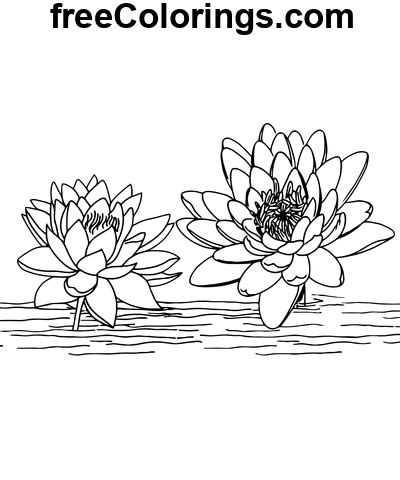 Lotus Blommor ClipArt Gratis utskrivbara målarbok