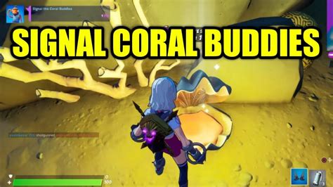 Signal The Coral Buddies Location Fortnite Week 6 Quest Challenge Guide Youtube