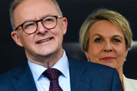 Why Tanya Plibersek Abandoned Leadership Plans