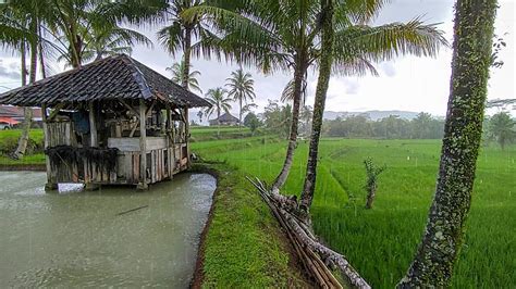 Hujan Deras Di Pedesaan Tapi Bikin Betah Hujan Deras Di Kampung