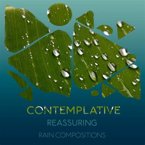 ZZz Contemplative Reassuring Rain Compositions ZZz Album By Relaxing