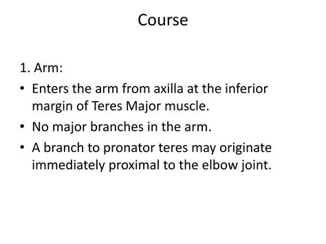 Median Nerve.pptx