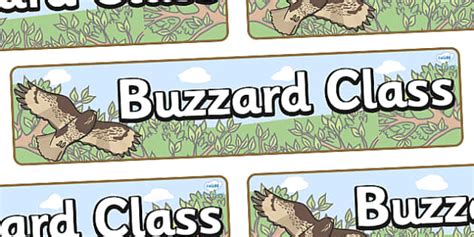 Free Buzzard Themed Classroom Display Banner Twinkl