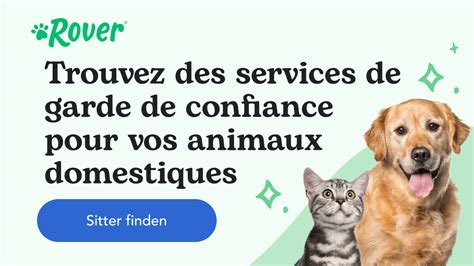 Mycoses du chien symptômes traitement et prévention