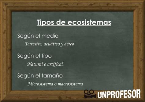 Tipos De Ecosistemas Y Sus Características Esquema Vídeos