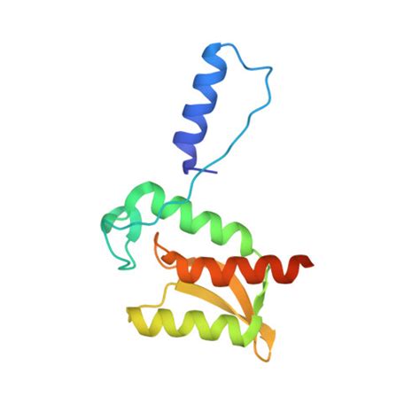 Rcsb Pdb 1k46 Crystal Structure Of The Type Iii Secretory Domain Of