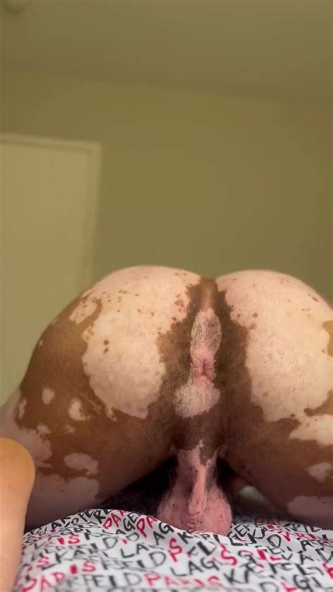 Shaking Ass Video Thisvid