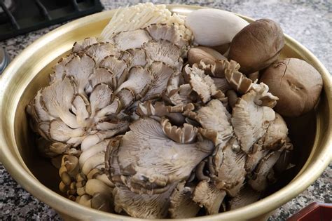 The Top 15 Ideas About Preparing Oyster Mushrooms Easy Recipes To