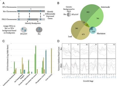 Differentially Expressed Genes In Each Tissue A This Schematic