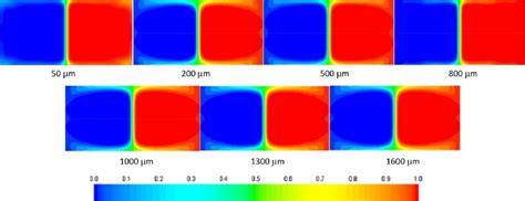 Mass Fraction Contours At Different Cross Sections Of The Vertical