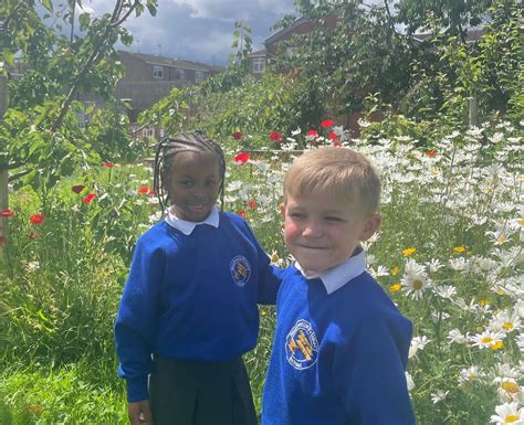 Mandeville Primary School Home