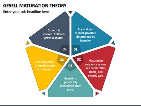 Gesell Maturation Theory PowerPoint and Google Slides Template - PPT Slides