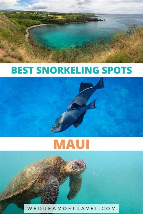 Best Spots For Snorkeling In Maui Tips Maps