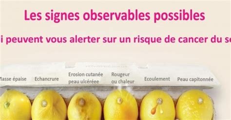 Cancer Du Sein Et Citron Quel Rapport