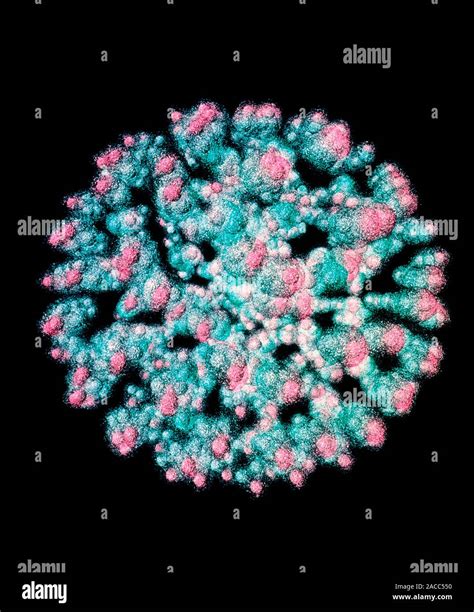 Quark Structure Of The Uranium Nucleus Computer Visualisation Of The