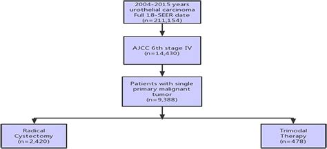 Frontiers Evaluation Of Survival Outcomes With Trimodal Therapy As