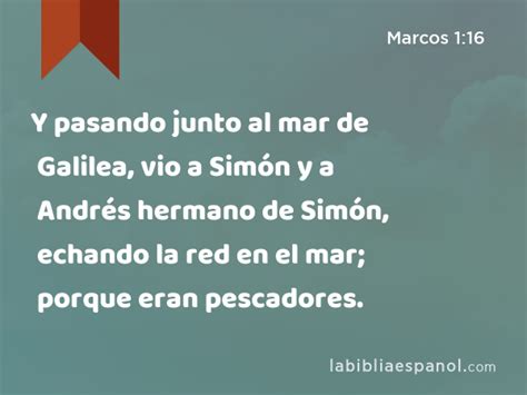 Marcos 1 16 Y pasando junto al mar de Galilea vio a Simón y a Andrés