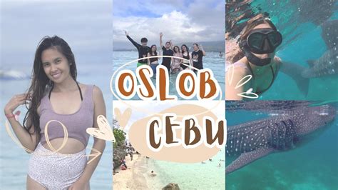 Oslob Cebu Day 3 Swim With Whale Shark Sumilon Island Tabuan Market Youtube