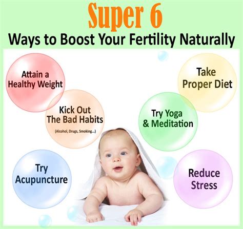 Increasing Fertility In Natural Ways For Both Men And Women